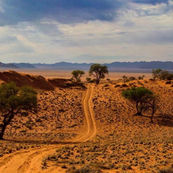 Damaraland, Namibia