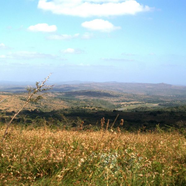 Hluhluwe-Imfolozi Game Reserve, South Africa