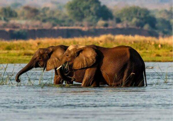 Mana Pools