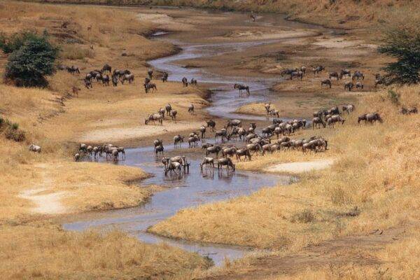 Tarangire National Park