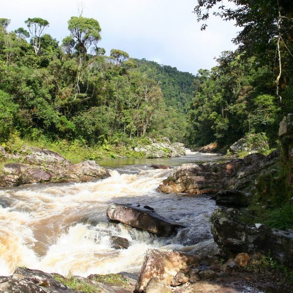 Ranomafana National Park, Madagascar