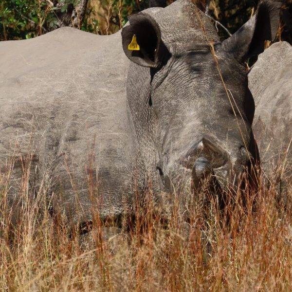Matobo National Park, Zimbabwe