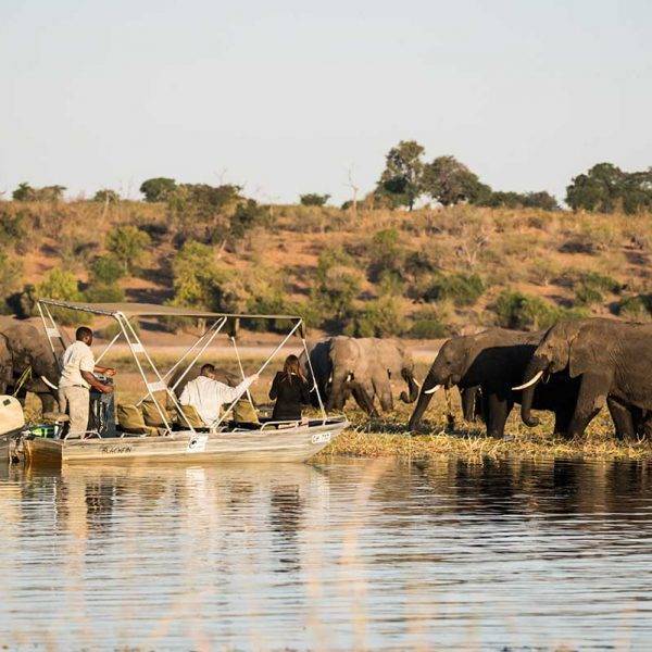 Chobe River Cruise, Chobe National Park