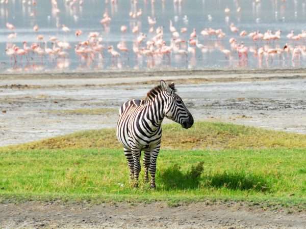 Ngorongoro Crater, Tanzania