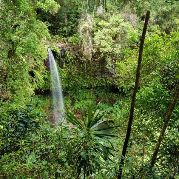 Montagne D’ambre National Park, Madagascar