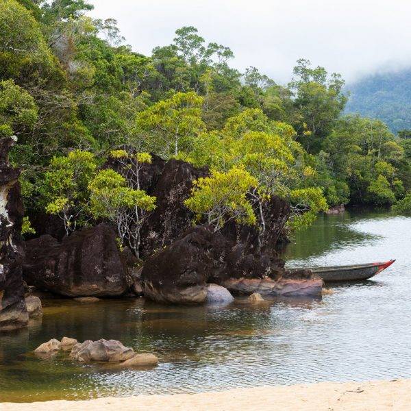 Masoala National Park, Madagascar