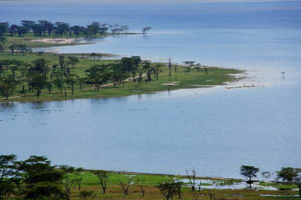 Lake Nakuru, Tanzania